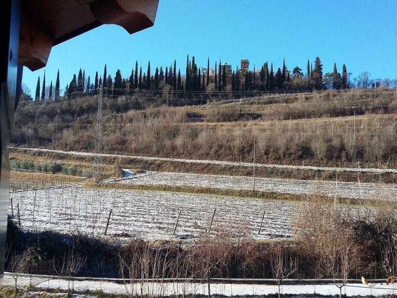Agriturismo Corte Carolina ヴェローナ エクステリア 写真